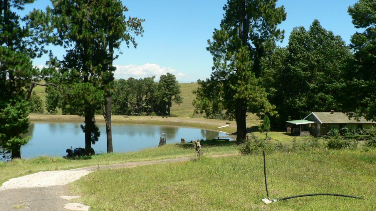 Troutbagger Farm Ξενοδοχείο Nottingham Road Εξωτερικό φωτογραφία